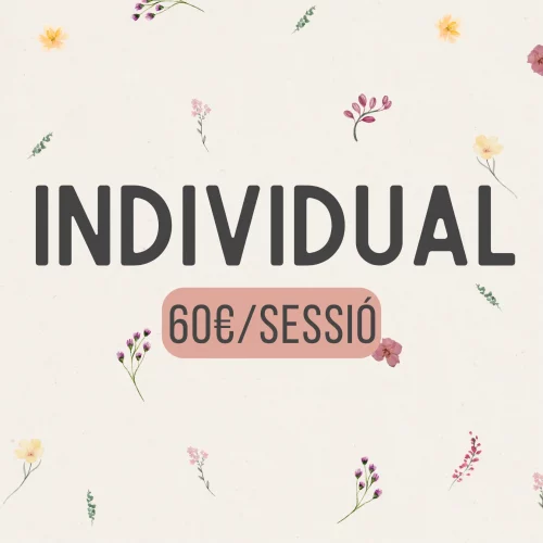 Preu teràpia individual