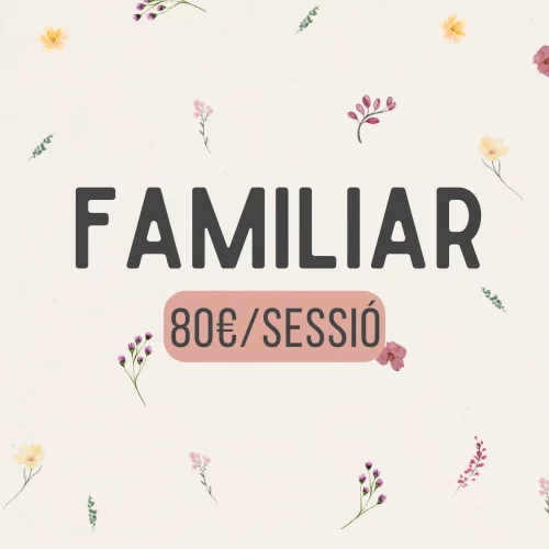 Preu teràpia familiar